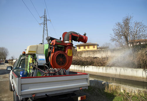 disinfestazione zanzare tigre Roma