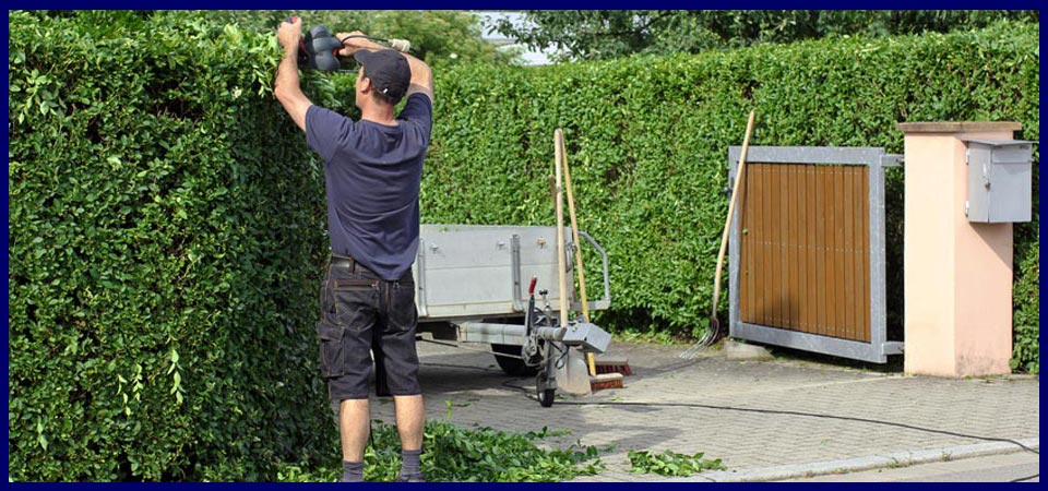 Realizzazione parchi e giardini Roma